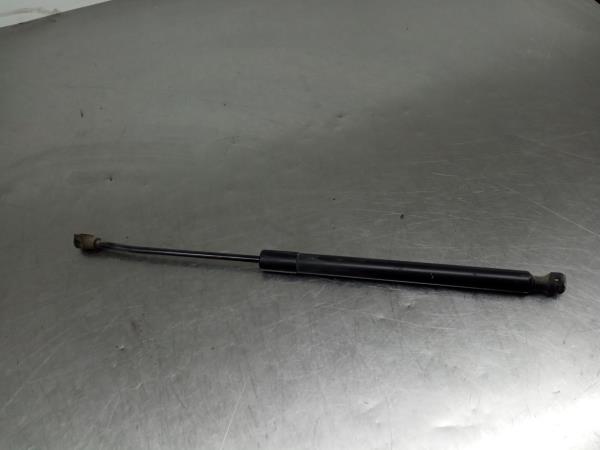 Amortecedor da mala RENAULT Captur (J5_)