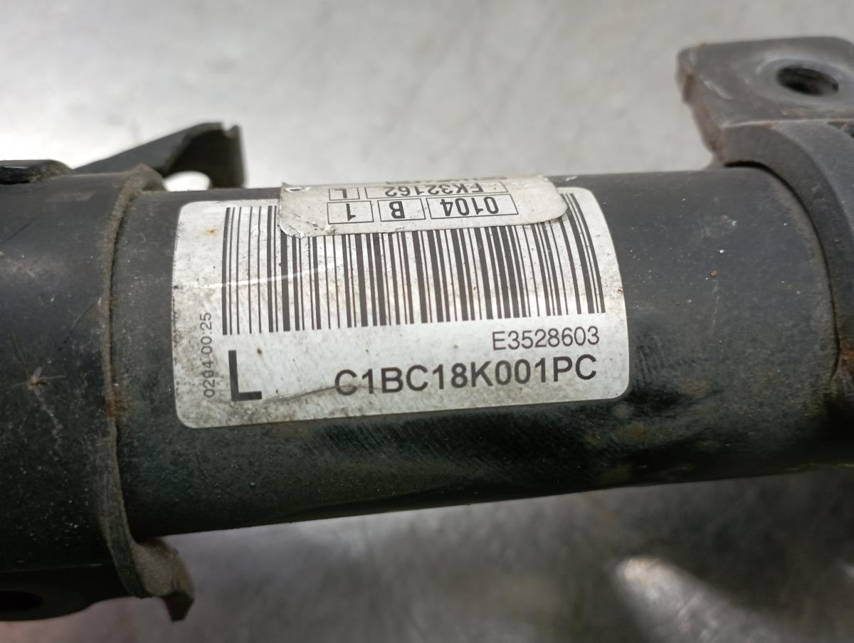 Amortiguador Delantero Izquierdo FORD Fiesta VI (CB1, CCN) Imagem-3