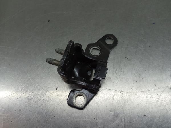 Cerniera porta posteriore destra RENAULT Clio III (BR0/1, CR0/1)