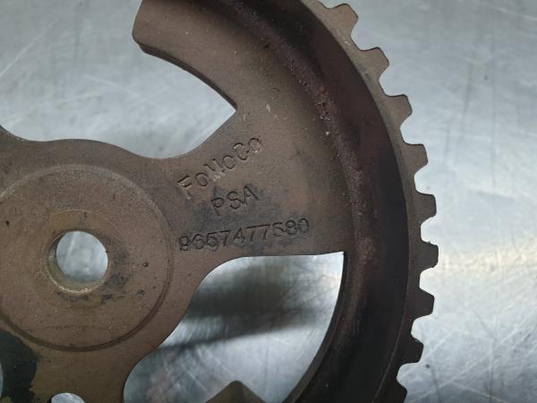Crankshaft / Engine pulley  PEUGEOT 407 (6D_) Imagem-1