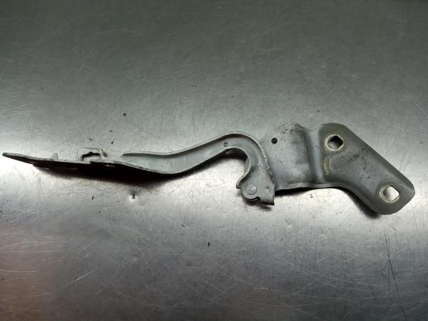 Dobradiça capot RENAULT Clio III (BR0/1, CR0/1)