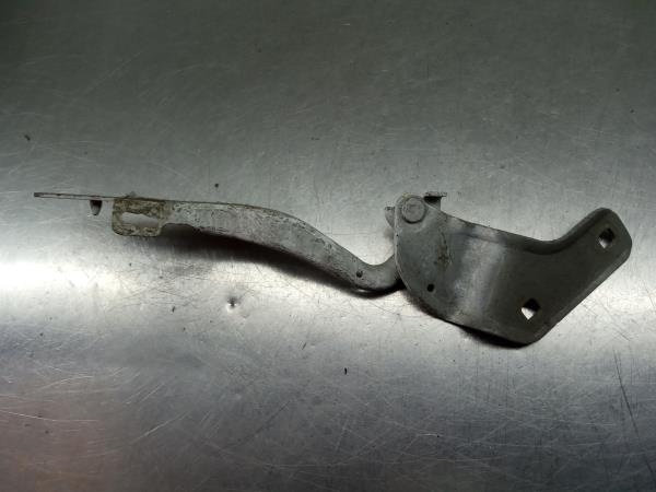 Cerniera cofano RENAULT Clio III (BR0/1, CR0/1) Imagem-1