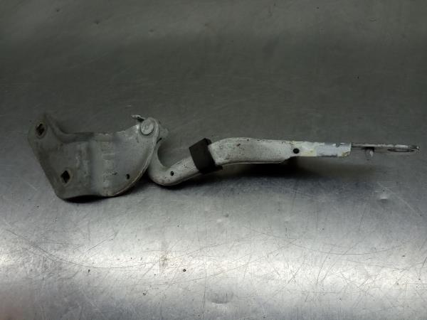 Bisagra del capó RENAULT Clio III (BR0/1, CR0/1) Imagem-1