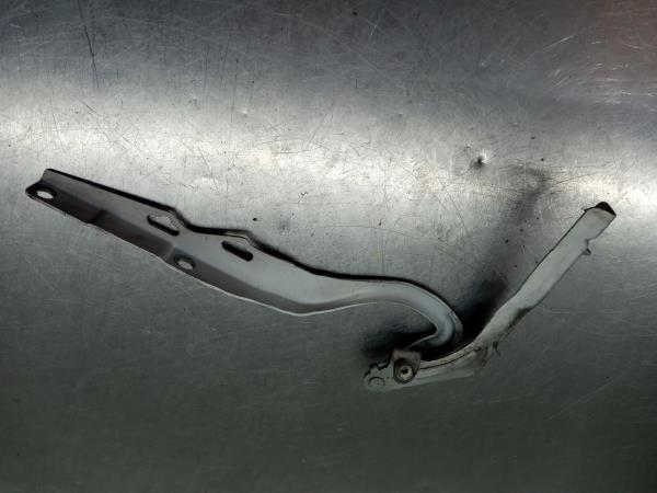 Hood hinge PEUGEOT 207 (WA_, WC_) Imagem-1