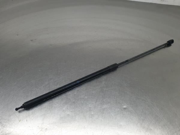 Trunk Shock Absorber RENAULT Megane III (BZ0_)