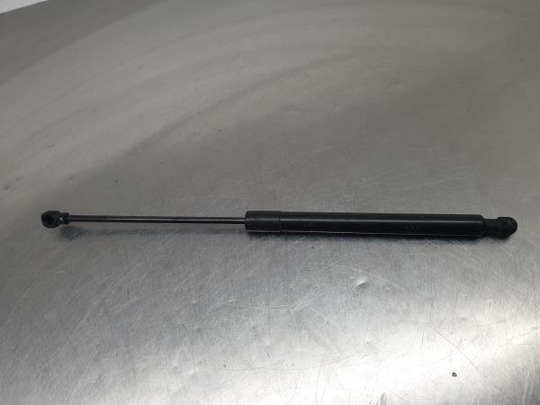 Amortecedor da mala RENAULT Captur (J5_)