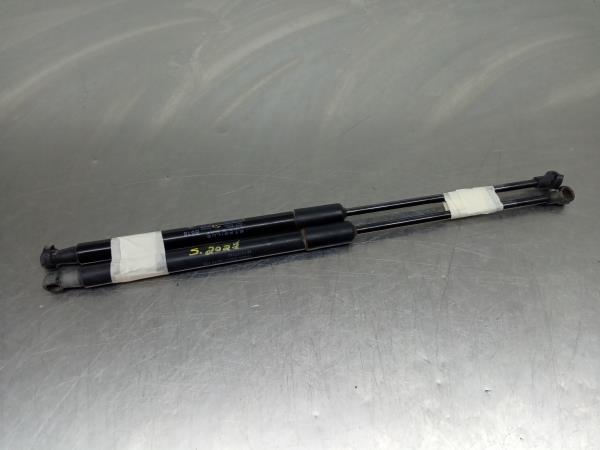 Amortecedor da mala CITROËN C3 III (SX)