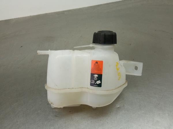 Vaschetta acqua radiatore RENAULT Kadjar (HA_, HL_)