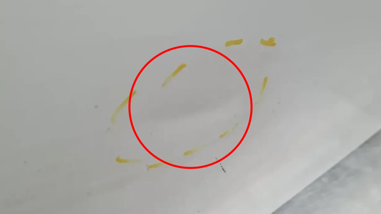 Right front Door BMW 3 (E90) Imagem-4