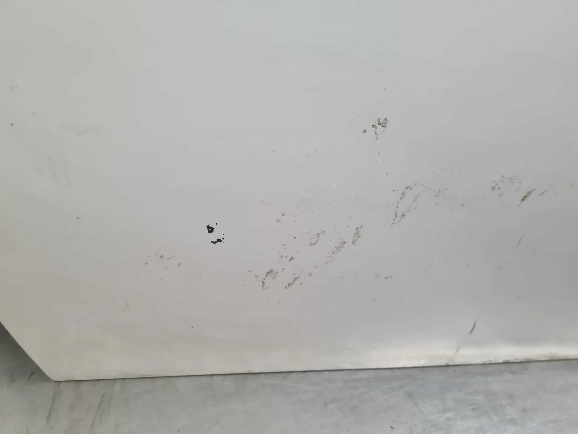 Left front Door BMW 3 (E90) Imagem-4