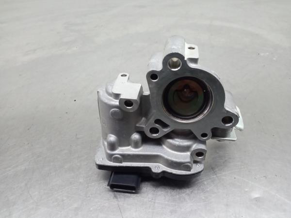 Válvula EGR NISSAN Qashqai II (J11) Imagem-1