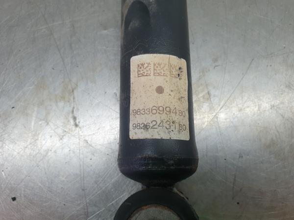 Amortisseur Arrière Gauche PEUGEOT Rifter Imagem-1