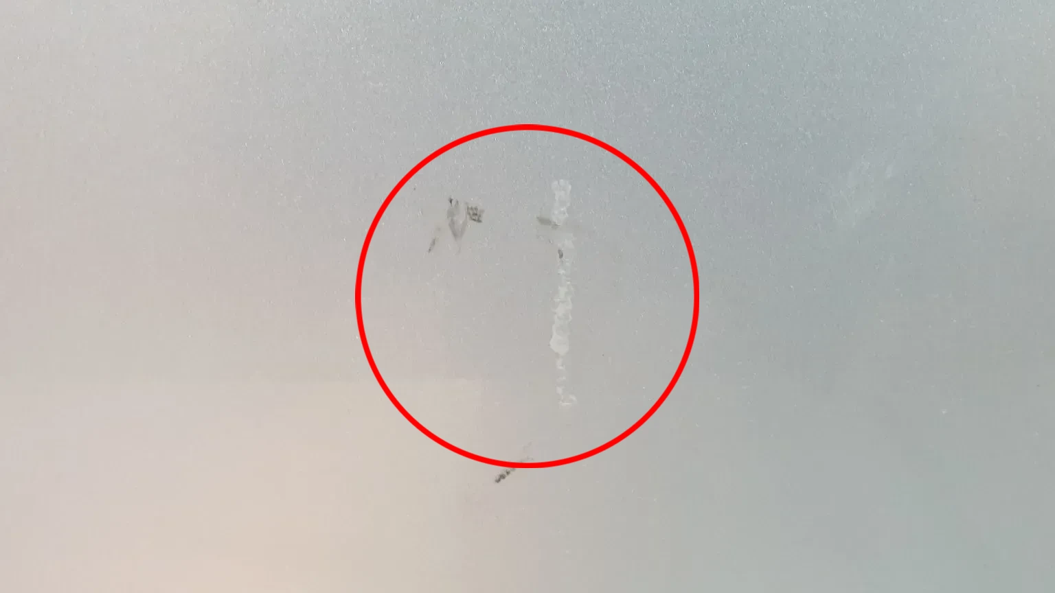 Porte avant Droite AUDI A6 Avant (4F5, C6) Imagem-6