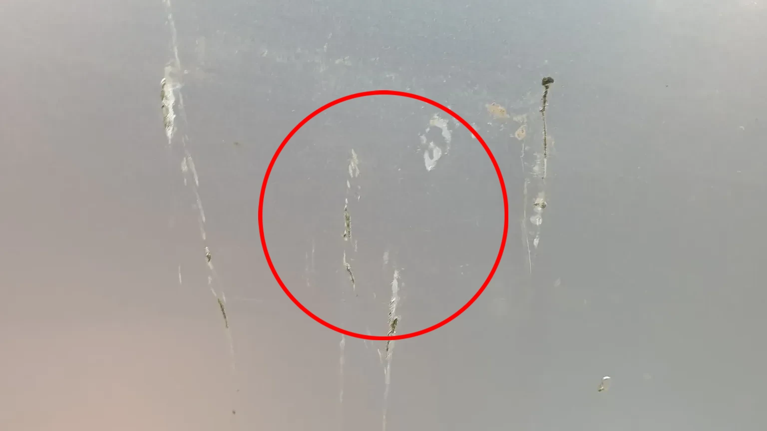 Left rear door AUDI A6 Avant (4F5, C6) Imagem-4