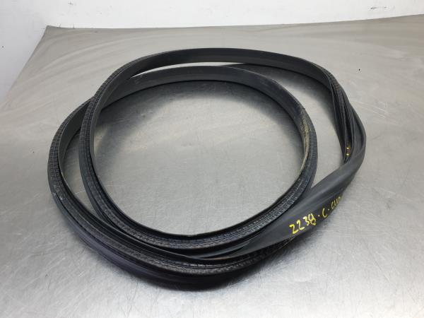 Revestimento porta trás esquerdo RENAULT Clio V (BF_)