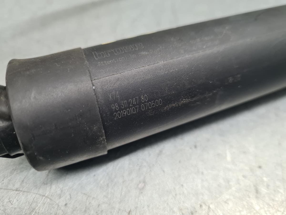 Amortecedor da mala DS DS7 Crossback (J_) Imagem-2