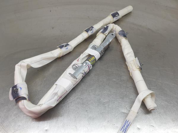 Airbag a Tendina Sinistra RENAULT Megane IV (B9A/M_)