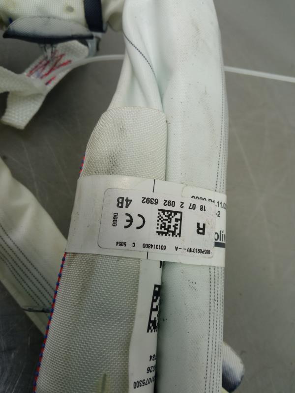 Airbag Cortina Derecho RENAULT Megane IV (B9A/M_) Imagem-2