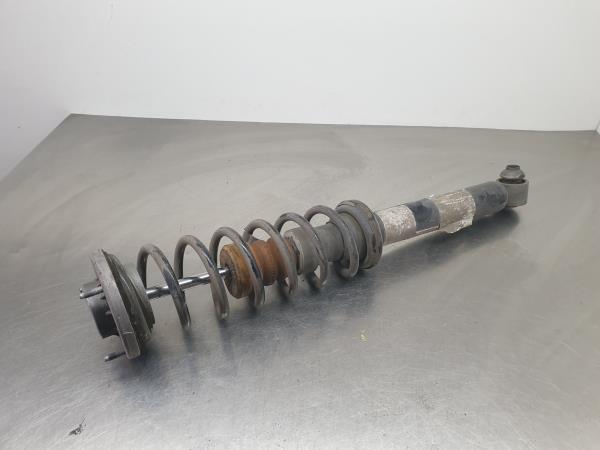 Ammortizzatore Posteriore Sinistro BMW 5 (F10)