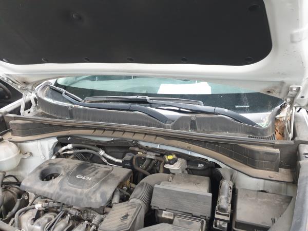 Moulure KIA Sportage (QL) Imagem-0
