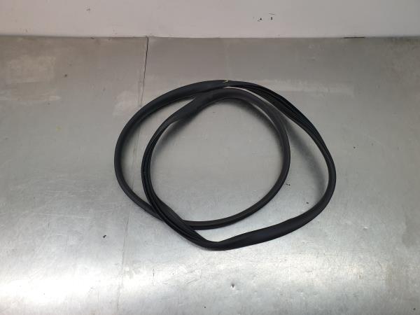 Revestimiento puerta Trasero Izquierdo DACIA Duster (HM_)