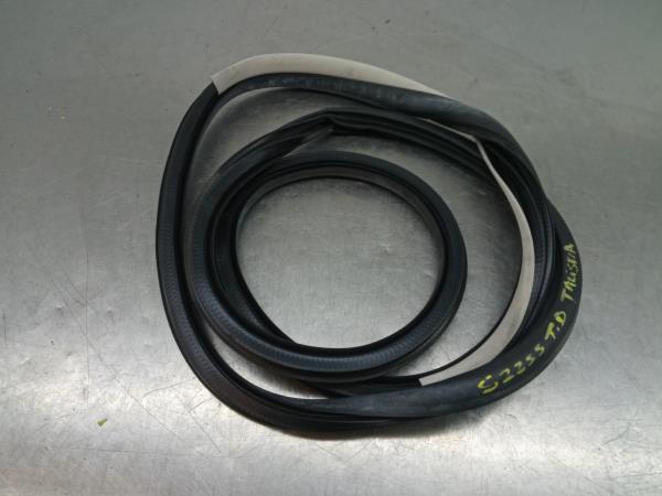 Revestimento porta trás direito RENAULT Talisman (L2M_)