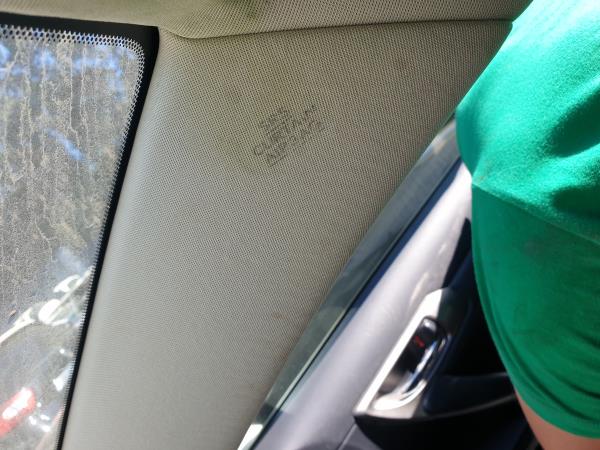 Airbag Rideau Droite LEXUS CT (ZWA10_)