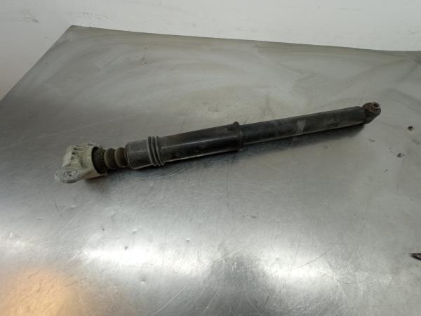 Amortiguador Trasero Derecho CITROËN C3 II (SC_)