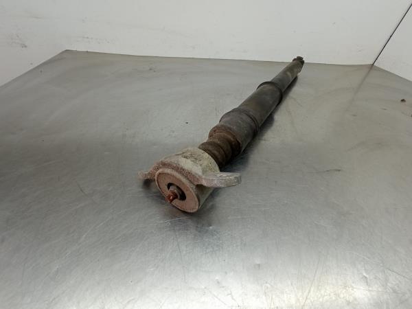 Amortiguador Trasero Derecho CITROËN C3 II (SC_) Imagem-1