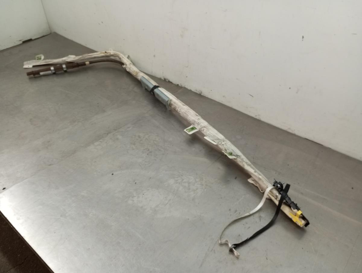 Airbag a Tendina Destra LAND ROVER Discovery III (L319) Imagem-1