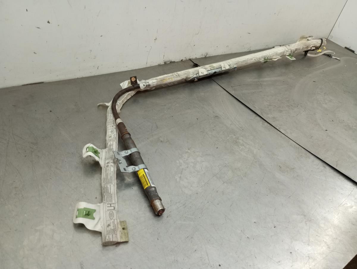 Airbag a Tendina Sinistra LAND ROVER Discovery III (L319) Imagem-1