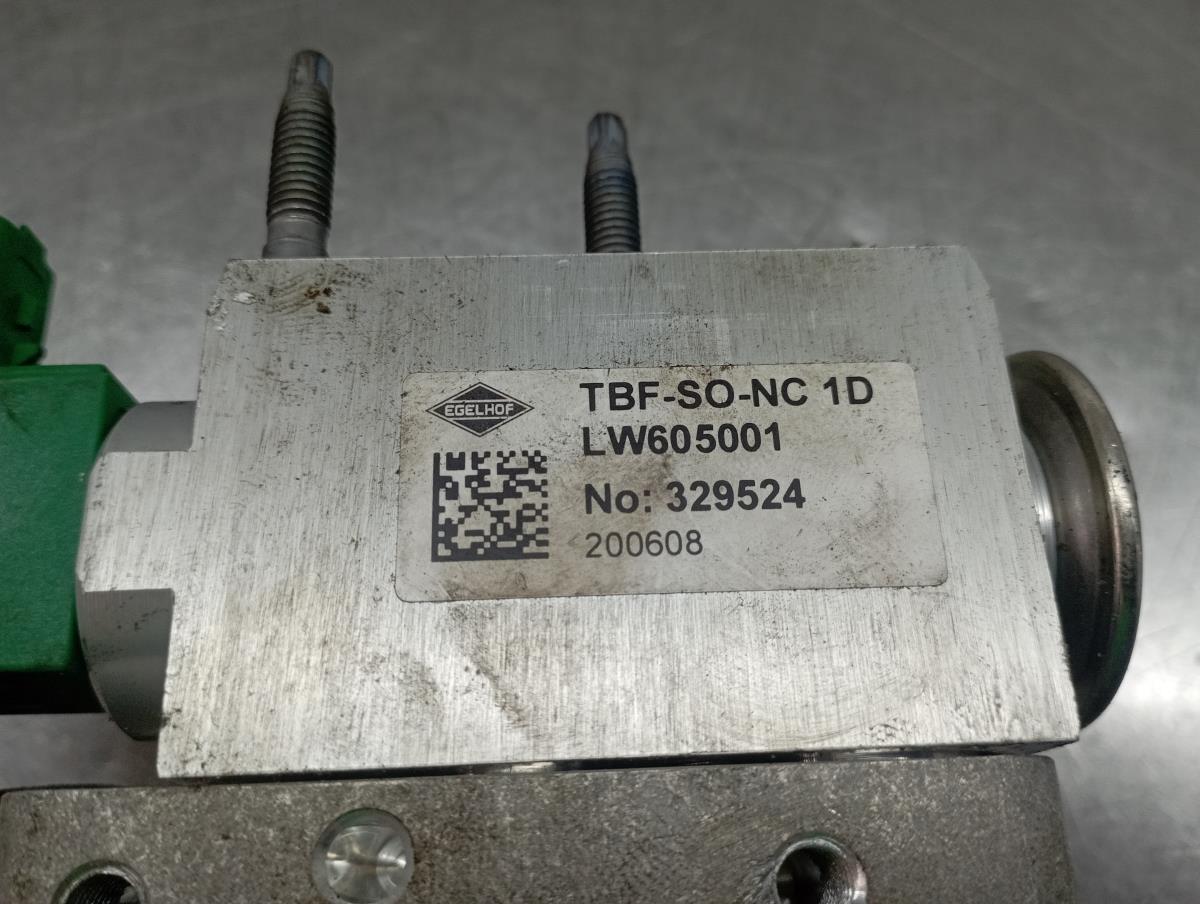 Valve générique RENAULT Megane IV Grandtour (K9A/M_) Imagem-3