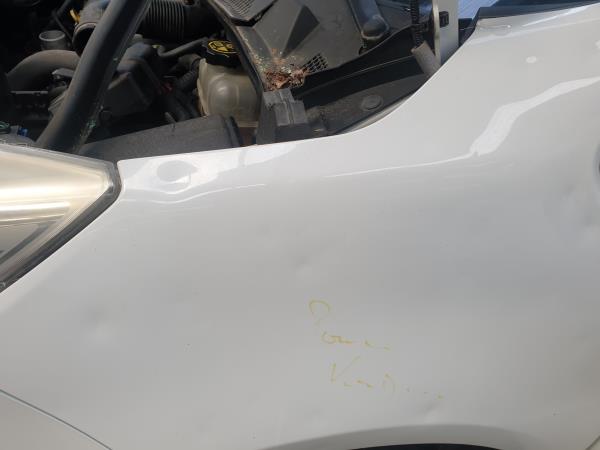 Parafango sinistro OPEL Meriva B Imagem-1