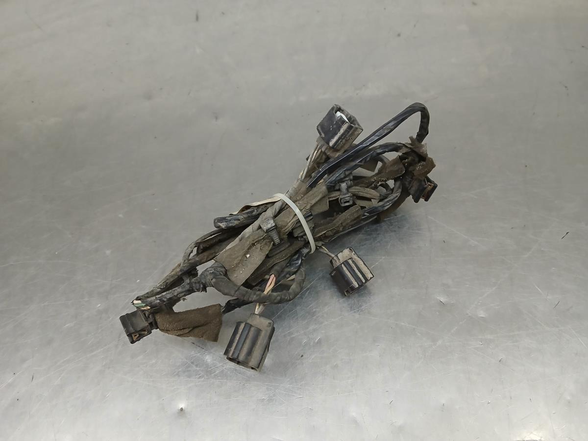 Instalação elétrica interior / cablagem interior RENAULT Megane III Grandtour (KZ0/1)