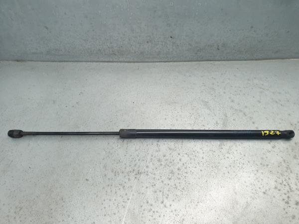 Amortecedor da mala BMW X3 (F25)