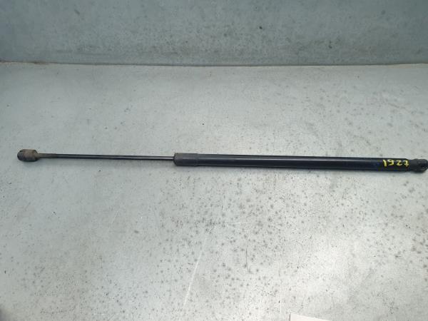 Amortecedor da mala BMW X3 (F25)