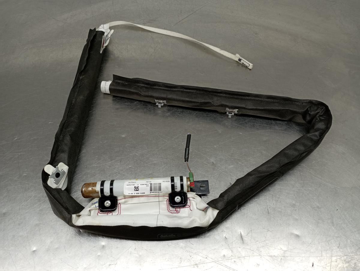 Airbag Cortina Derecho RENAULT Megane III (BZ0_)