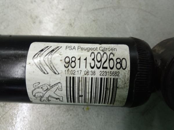 Amortecedor trás esquerdo CITROËN C3 III (SX) Imagem-2