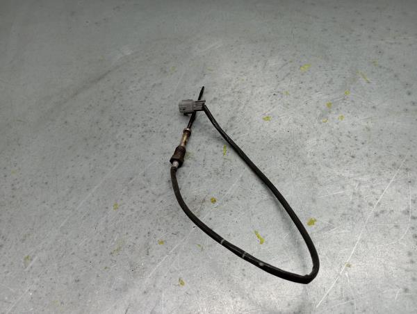 Sonda lambda NISSAN Juke (F15) Imagem-1