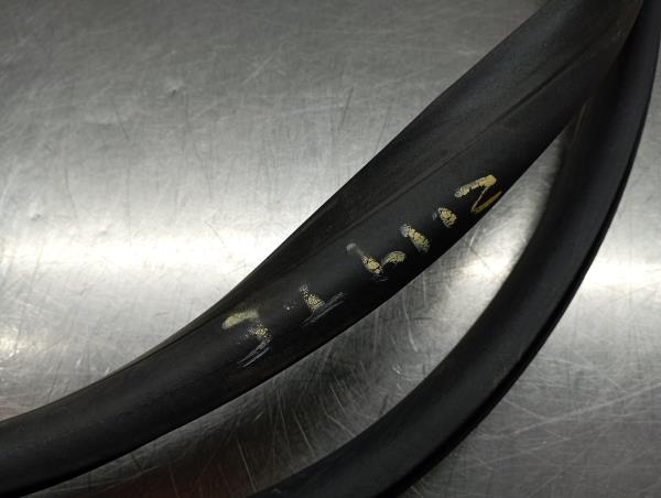 Revestimento porta trás esquerdo RENAULT Megane IV (B9A/M_) Imagem-1