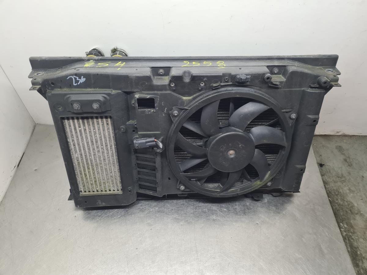 Kit de radiateurs CITROËN DS4 (NX_)