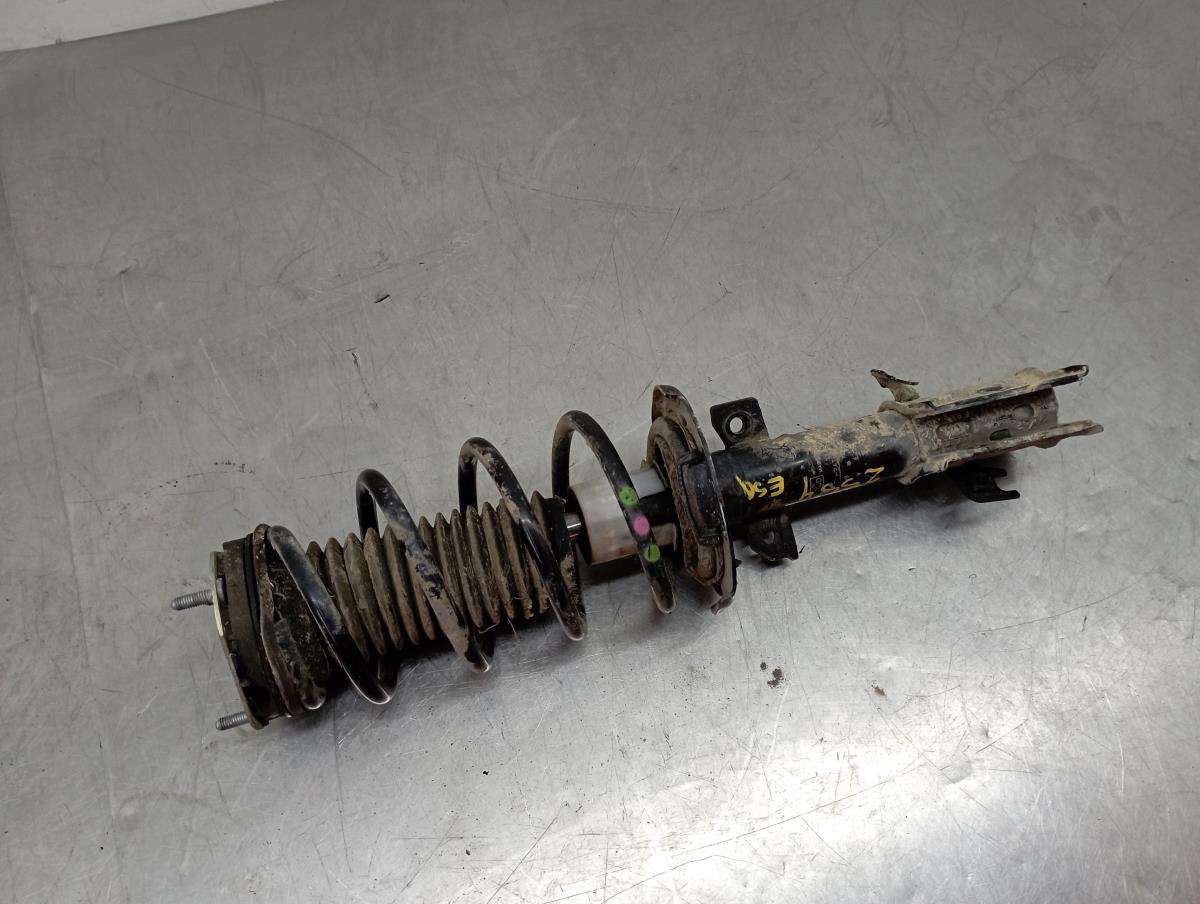 Ammortizzatore Anteriore Sinistro FORD Fiesta VI (CB1, CCN)