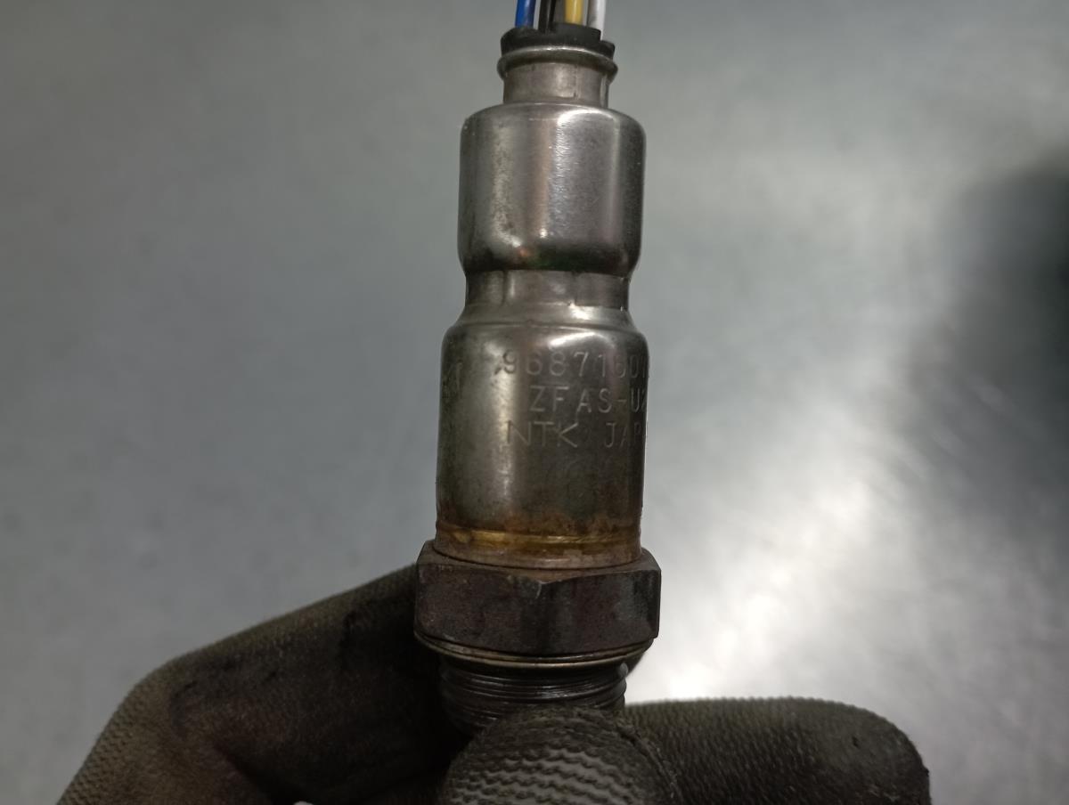 Sonda lambda FORD Focus III Imagem-2