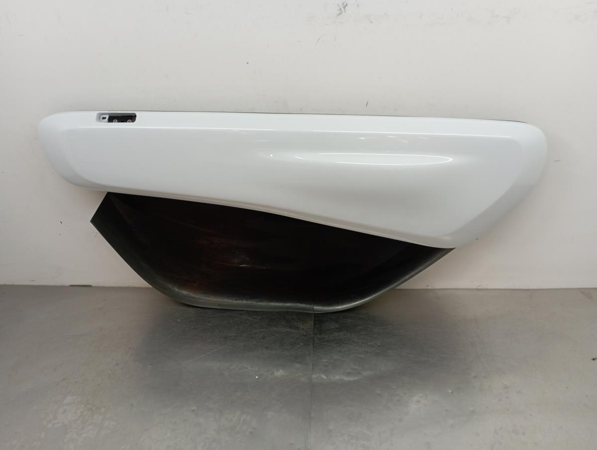 Porta anteriore sinistra RENAULT Twizy (MAM_)