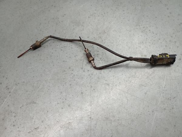 Sonda lambda CITROËN C3 III Van (SX_, SY_) Imagem-1