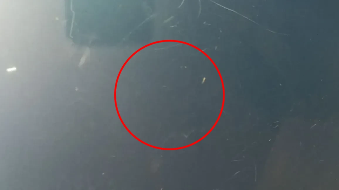 Capot SKODA Rapid Spaceback (NH1) Imagem-4