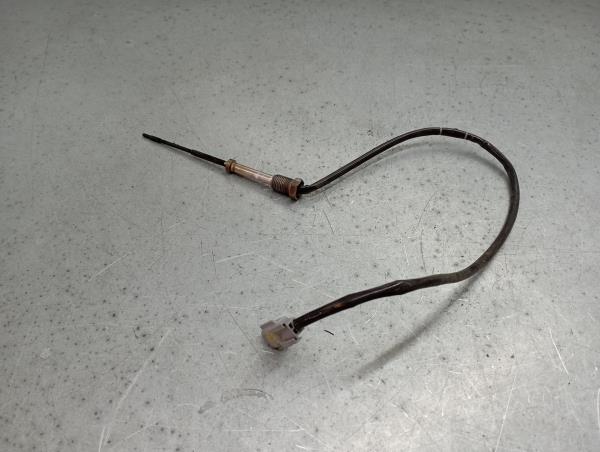 Sonda lambda RENAULT Megane III (BZ0_) Imagem-1