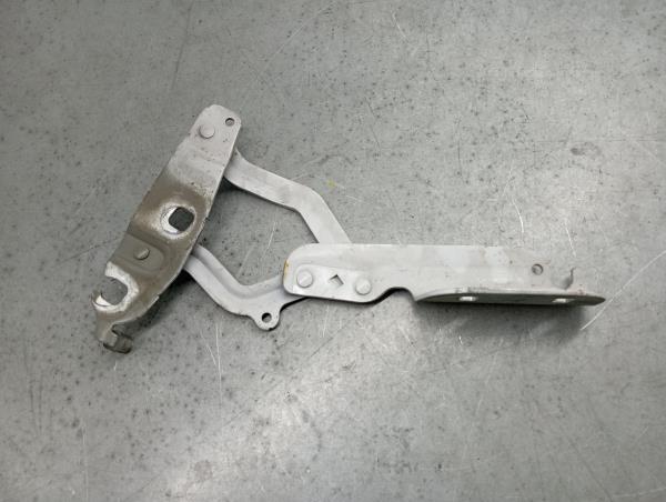 Dobradiça capot FORD Fiesta VI (CB1, CCN)