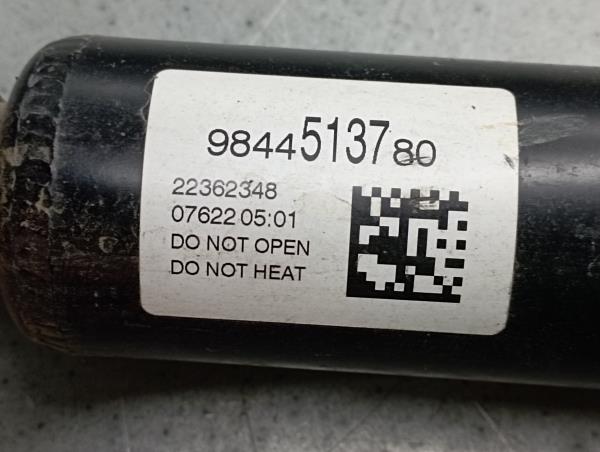 Amortiguador Trasero Izquierdo PEUGEOT 308 III Imagem-2