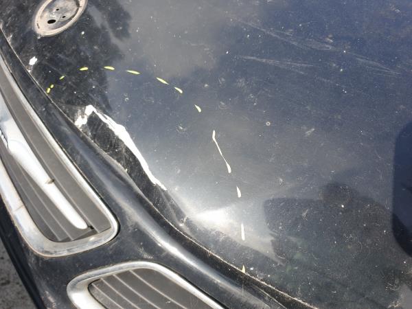 Hood SAAB 9-3 Sedan (YS3F) Imagem-1